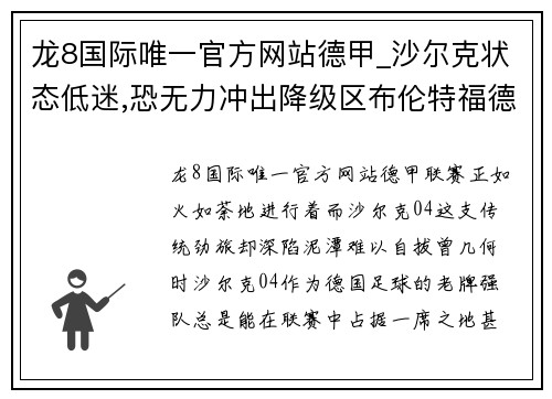 龙8国际唯一官方网站德甲_沙尔克状态低迷,恐无力冲出降级区布伦特福德VS布莱顿的实力对决